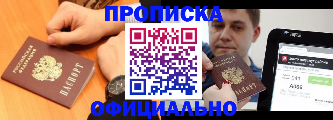 прописка поиск в Невеле