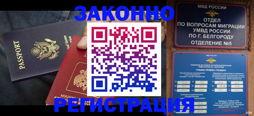 прописка законно в Невеле